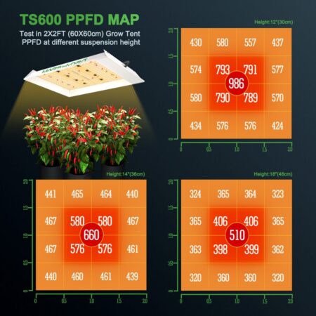 Mars Hydro TS 600 is an introductory LED grow light with a low upfront cost and good results, for novices who are interested in growing indoor